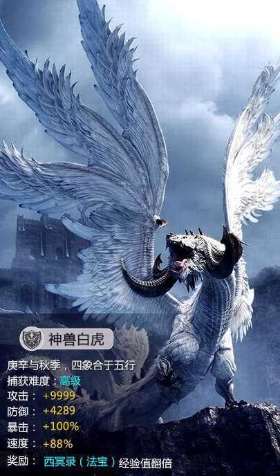 动漫明星竞速赛