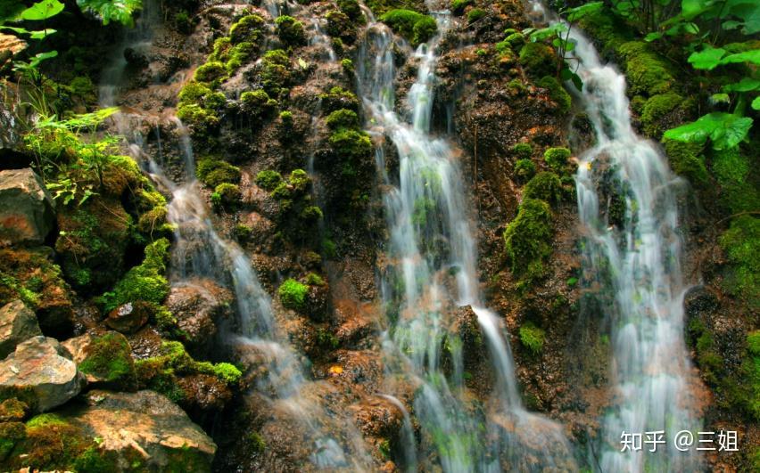 泡脚水里加点“它”,不仅驱寒除湿,防感冒,还能杀菌止痒除脚气